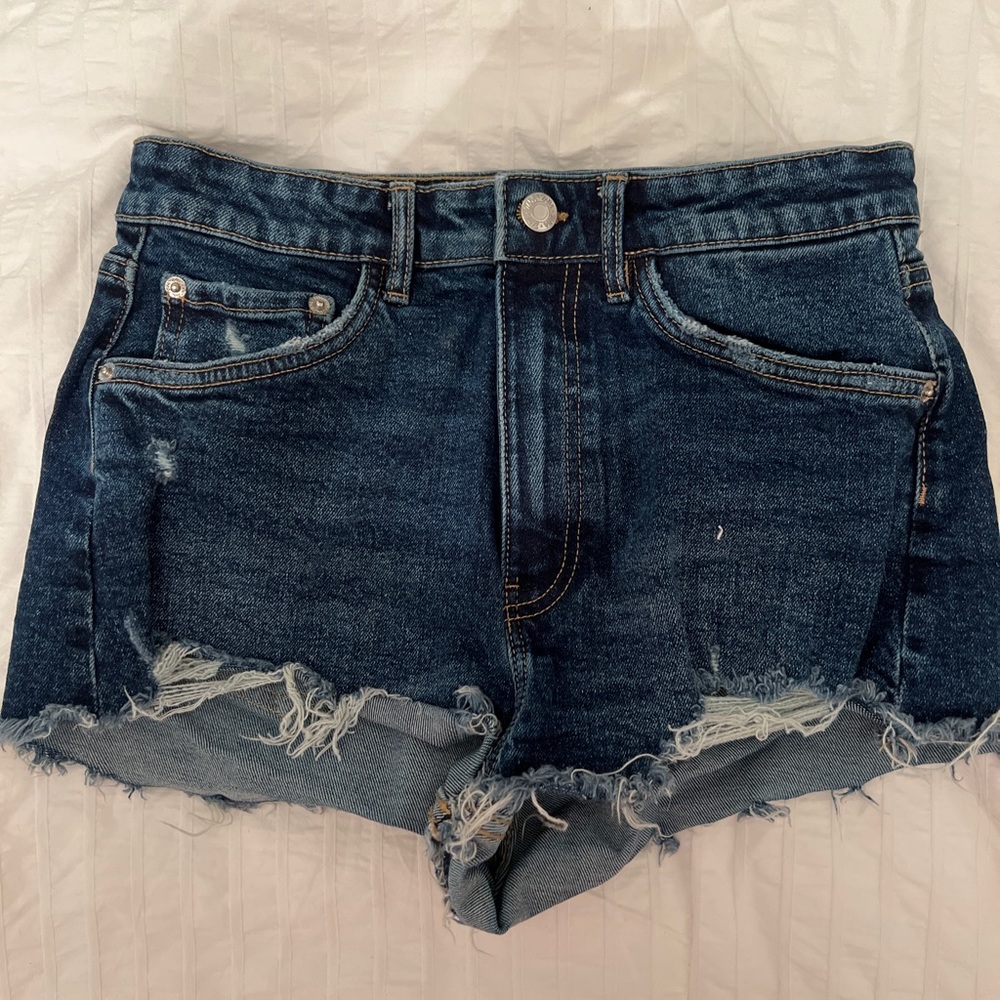 Zara Shorts